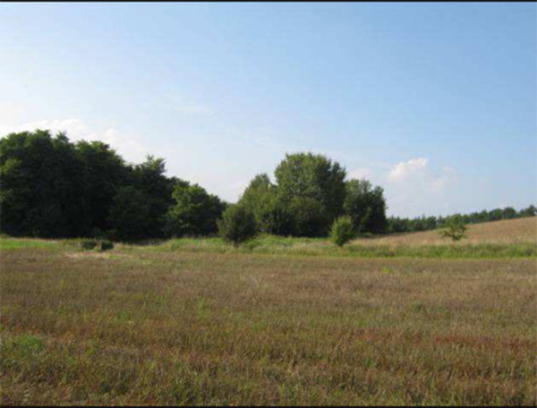 Działka 57500 m2 w GRYFINO