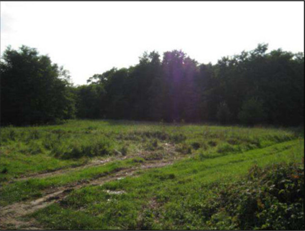 Działka 57500 m2 w GRYFINO