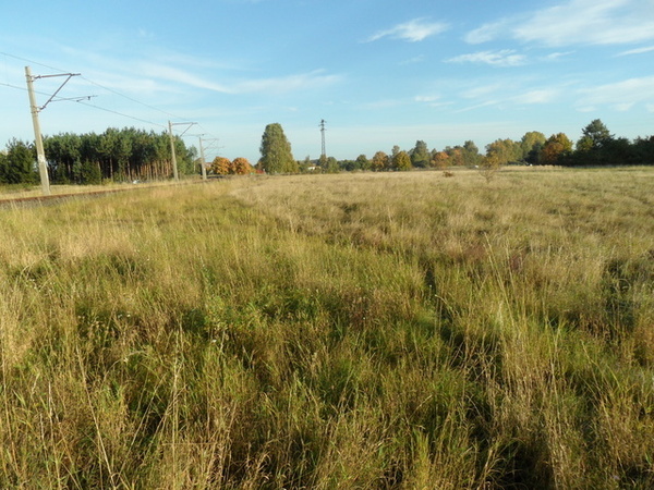 Działka 3700 m2 w POLICE