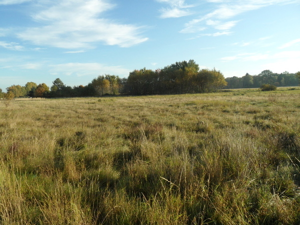 Działka 3700 m2 w POLICE