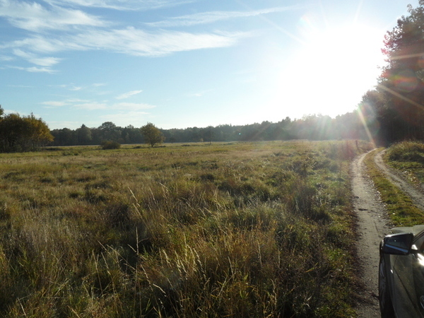 Działka 3700 m2 w POLICE