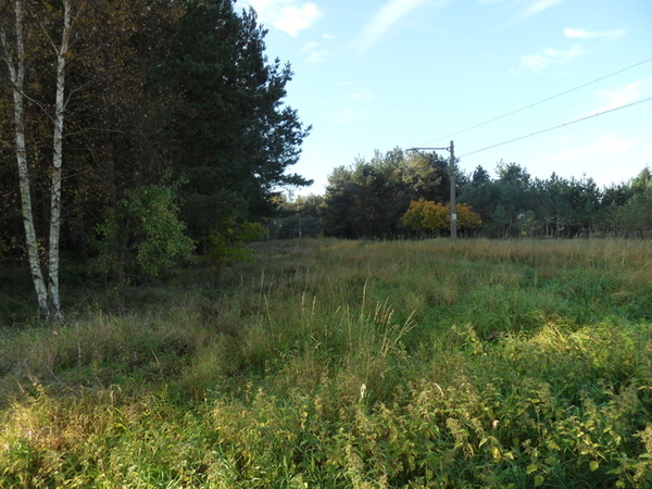 Działka 3700 m2 w POLICE