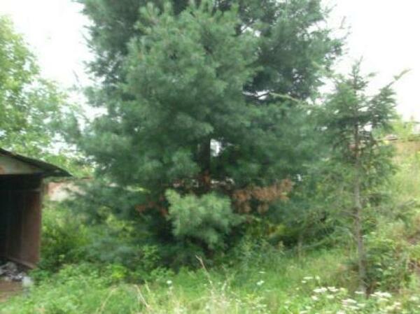 Działka 893 m2 w WARSZAWA