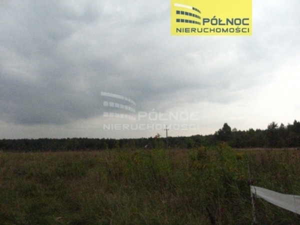 Działka 21497 m2 w BUKOWNO