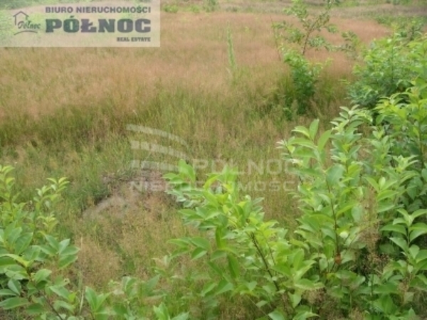 Działka 9700 m2 w MYSŁOWICE