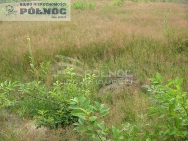 Działka 9700 m2 w MYSŁOWICE