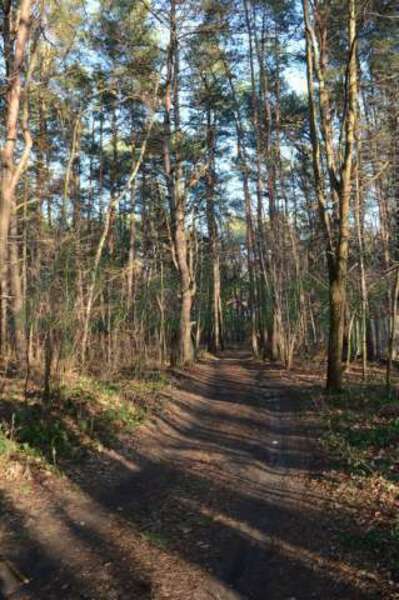 Działka 705 m2 w WARSZAWA