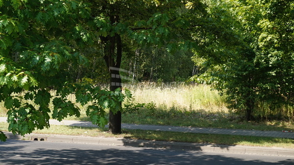 Działka 5527 m2 w PABIANICE