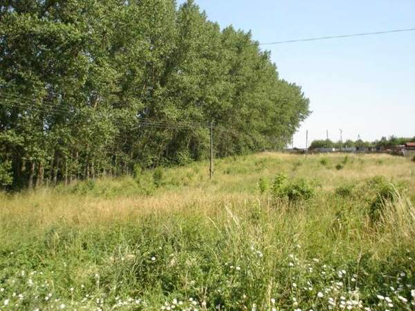 Działka 5266 m2 w SZCZECIN