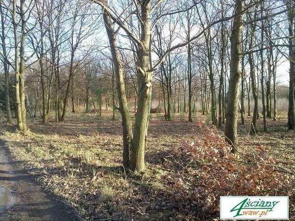 Działka 1981 m2 w NADARZYN