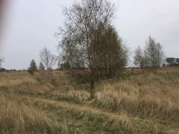 Działka 3973 m2 w WOLIN