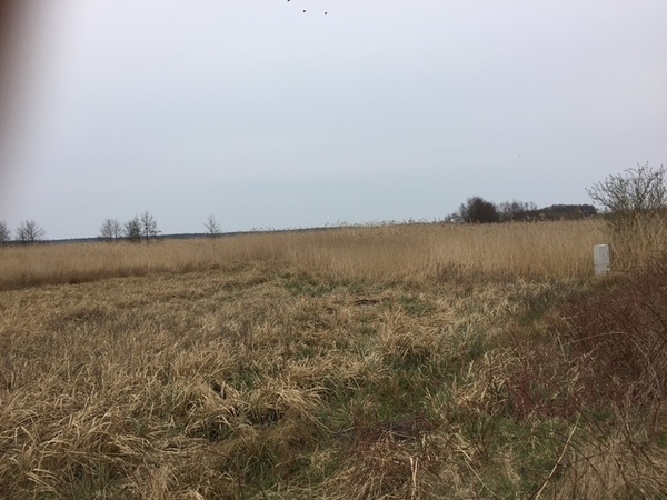 Działka 3973 m2 w WOLIN