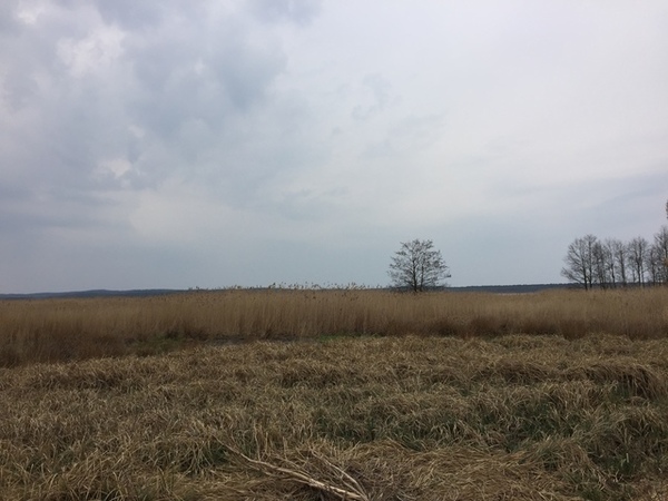 Działka 3973 m2 w WOLIN