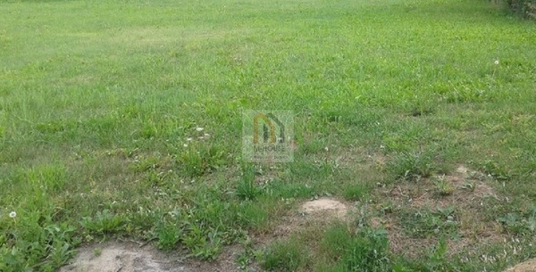 Działka 1300 m2 w LUDWIN