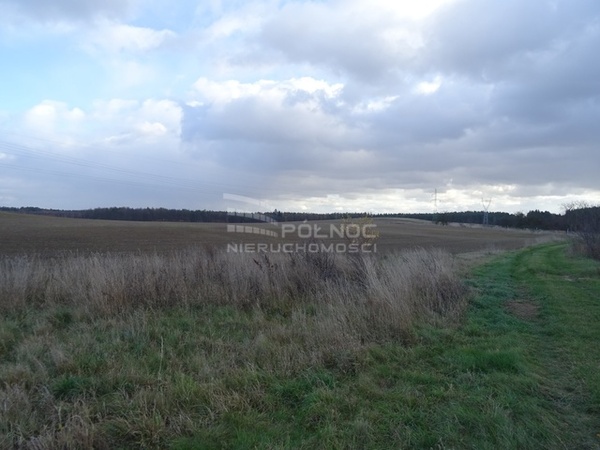 Działka 1120 m2 w GŁOGÓW