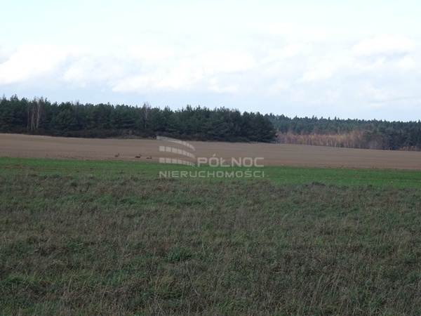 Działka 1120 m2 w GŁOGÓW