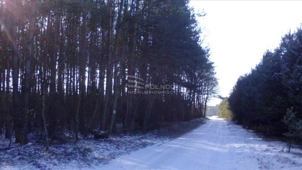 Działka 36600 m2 w KAWĘCZYN