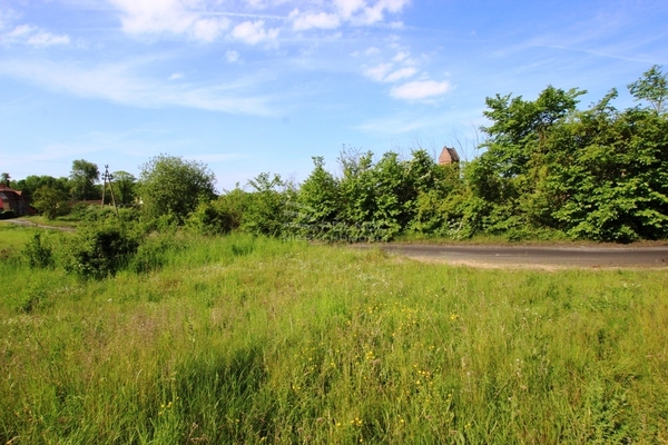 Działka 5100 m2 w RADWANICE