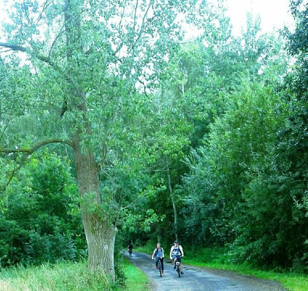 Działka 1081 m2 w KAMIEŃ POMORSKI