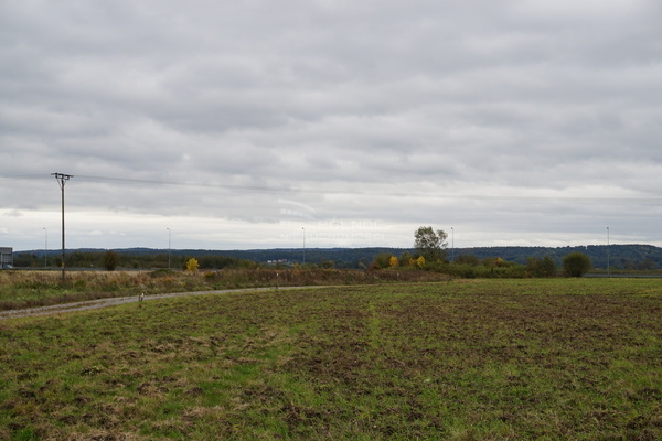 Działka 6958 m2 w RZEZAWA