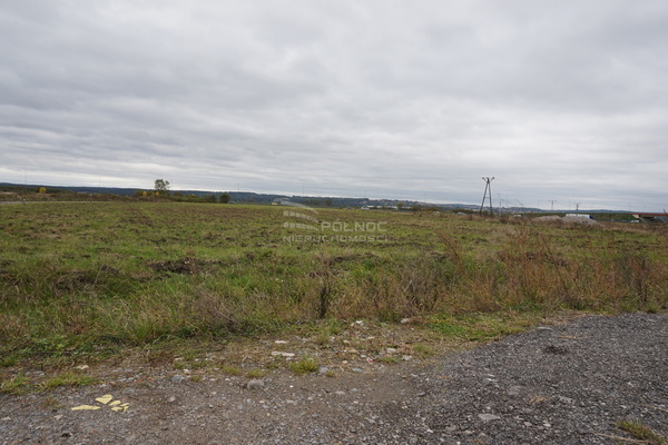 Działka 6958 m2 w RZEZAWA