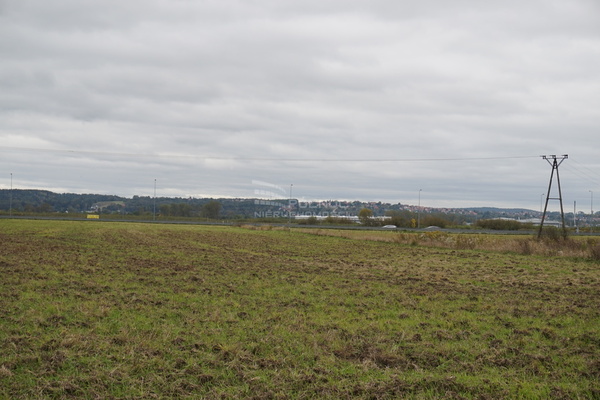 Działka 6958 m2 w RZEZAWA