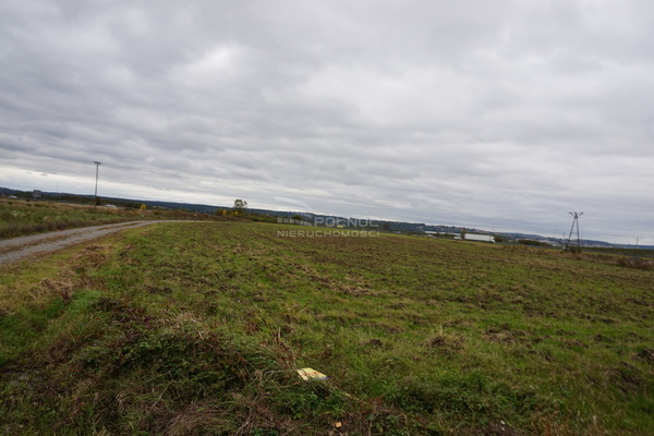 Działka 6958 m2 w RZEZAWA