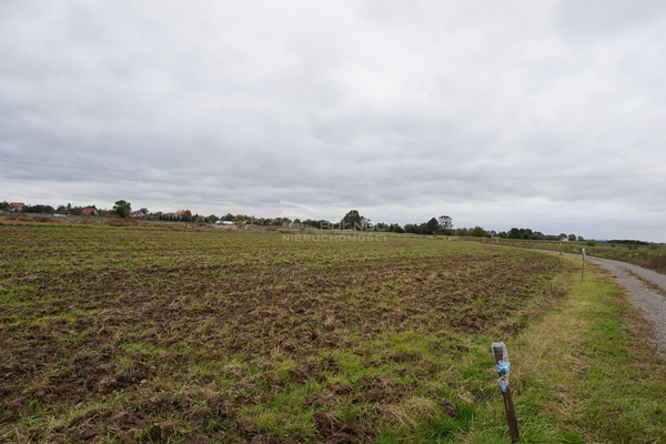 Działka 6958 m2 w RZEZAWA