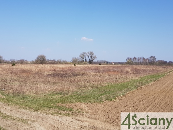 Działka 8000 m2 w WARSZAWA