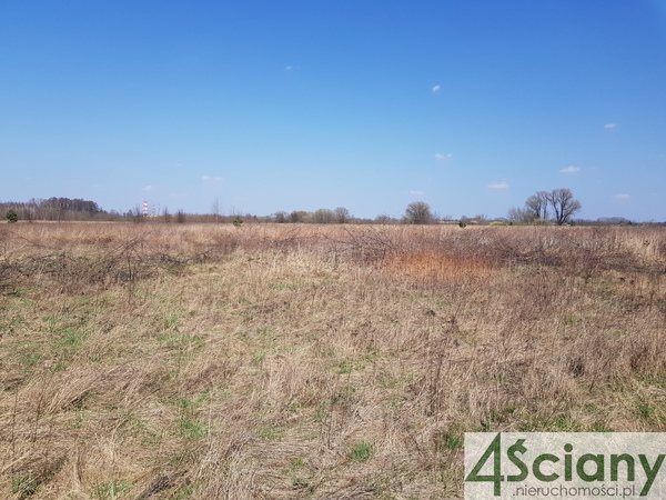 Działka 8000 m2 w WARSZAWA