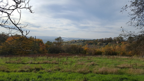 Działka 13900 m2 w BOCHNIA