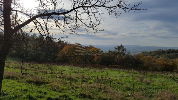 Działka 13900 m2 w BOCHNIA