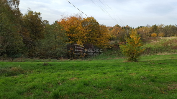 Działka 13900 m2 w BOCHNIA