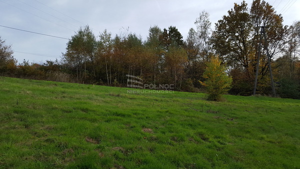 Działka 13900 m2 w BOCHNIA