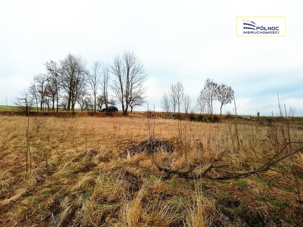 Działka 3950 m2 w WOLBROM