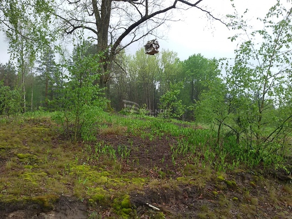 Działka 3000 m2 w RÓŻAN