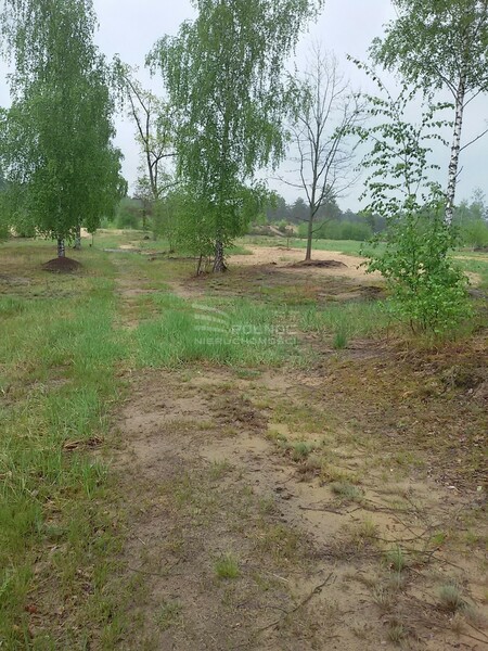 Działka 3000 m2 w RÓŻAN