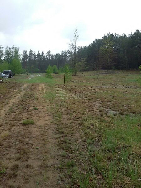 Działka 3000 m2 w RÓŻAN