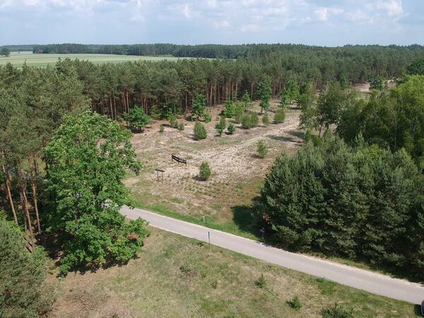 Działka 3000 m2 w RÓŻAN