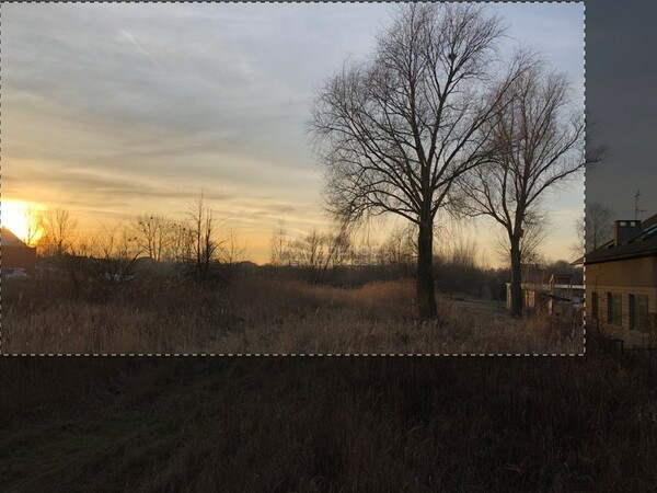 Działka 3515 m2 w PABIANICE