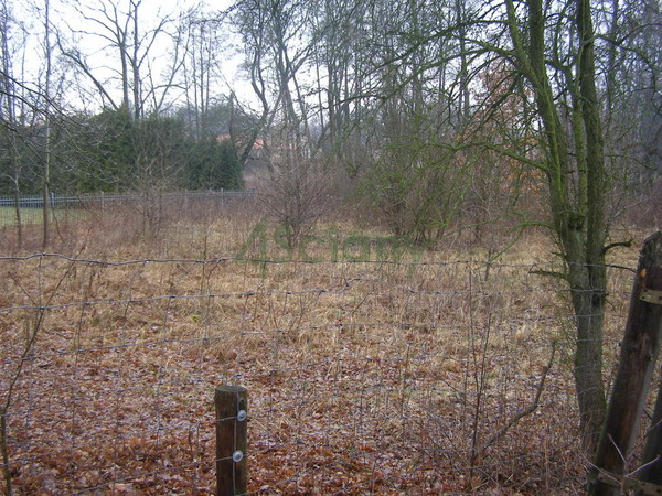 Działka 2916 m2 w MARKI