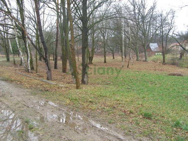 Działka 2916 m2 w MARKI