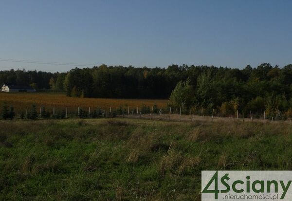 Działka 11600 m2 w MSZCZONÓW