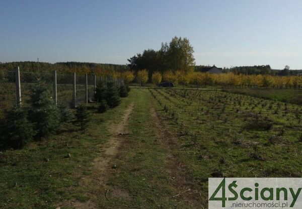 Działka 11600 m2 w MSZCZONÓW