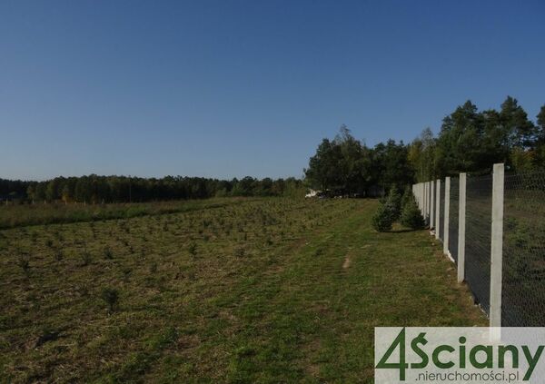 Działka 11600 m2 w MSZCZONÓW