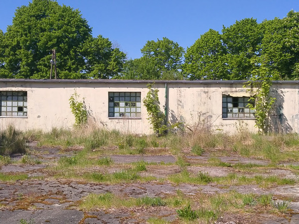 Działka 20426 m2 w MASZEWO