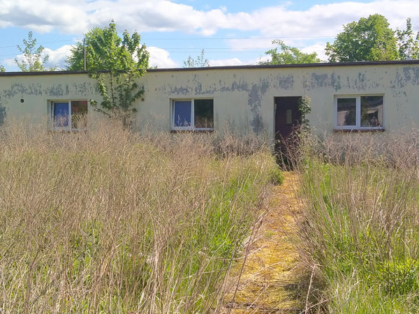 Działka 20426 m2 w MASZEWO