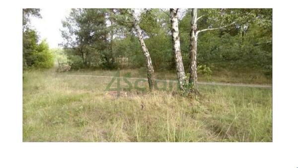 Działka 1000 m2 w JAKTORÓW