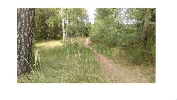 Działka 1000 m2 w JAKTORÓW