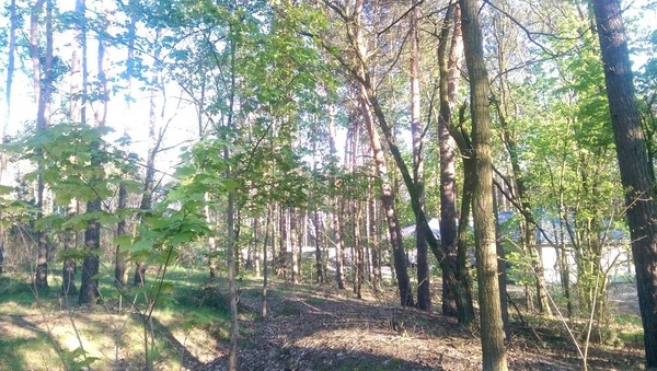 Działka 1000 m2 w WARSZAWA